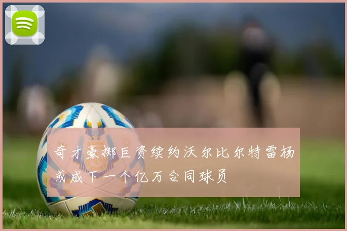 奇才豪掷巨资续约沃尔比尔特雷杨或成下一个亿万合同球员