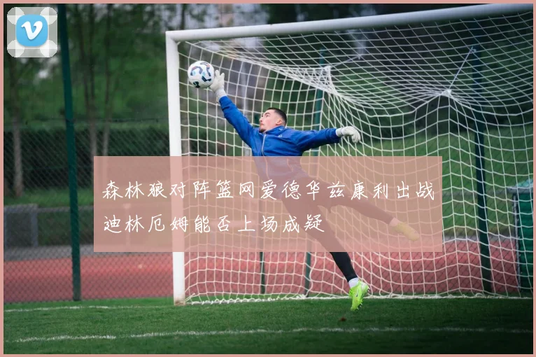 森林狼对阵篮网爱德华兹康利出战迪林厄姆能否上场成疑