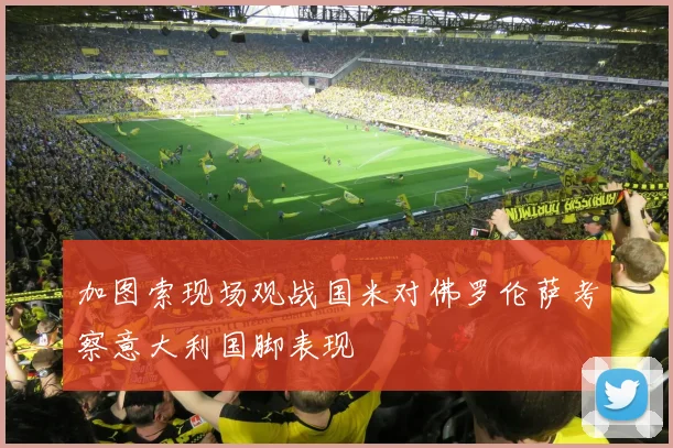 加图索现场观战国米对佛罗伦萨考察意大利国脚表现