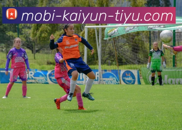 开云体育品牌故事