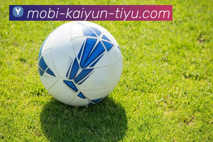 开云体育服务体系